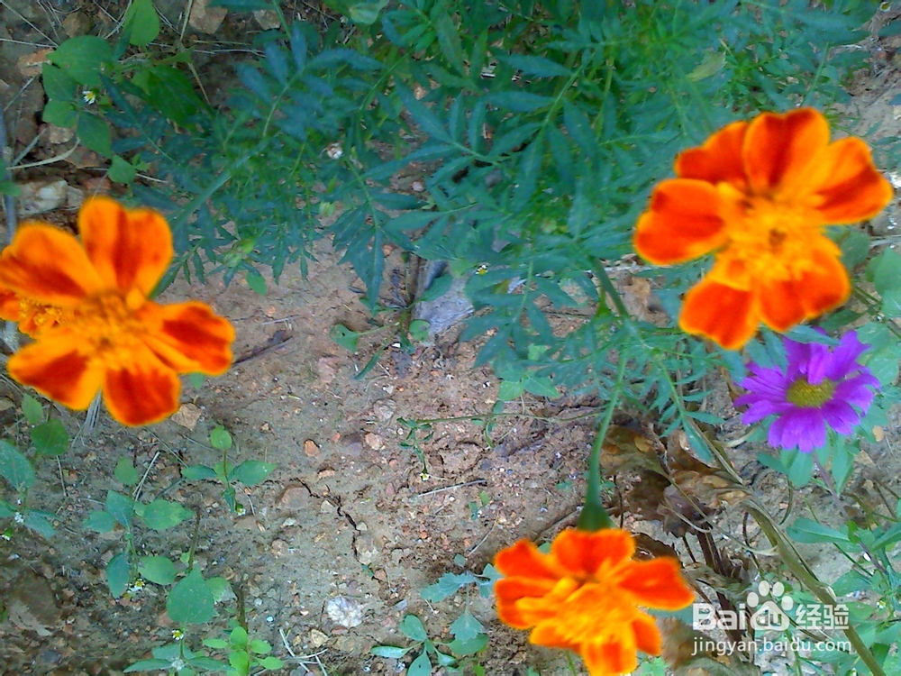 孩子性格内向初中毕业是学专业还是继续读书？