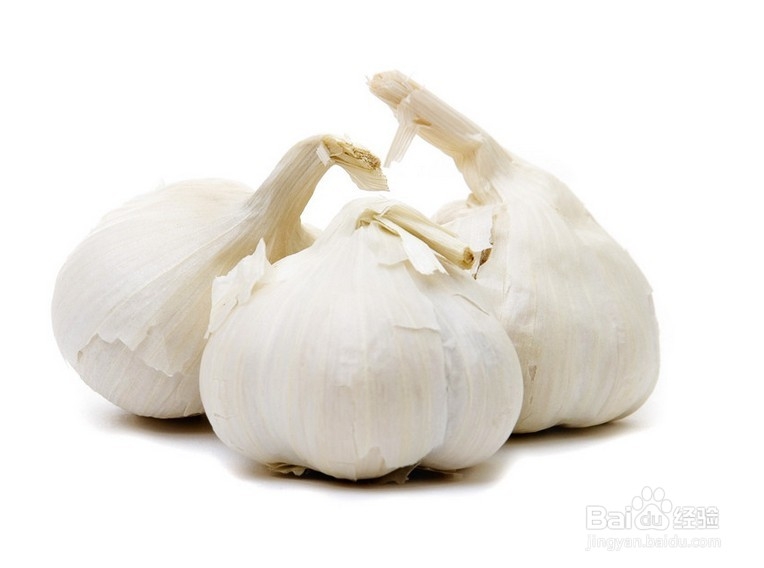 夏季驱蚊植物水果齐上阵