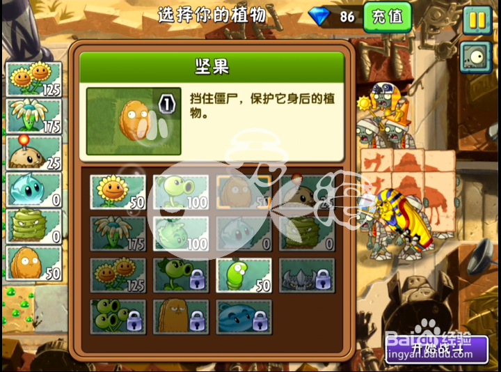 植物大战僵尸2攻略 神秘埃及 第九天二星
