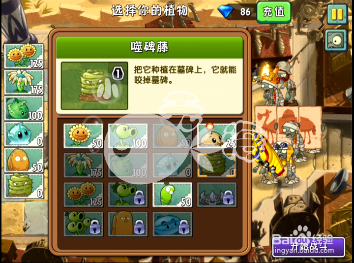 植物大战僵尸2攻略 神秘埃及 第十天三星
