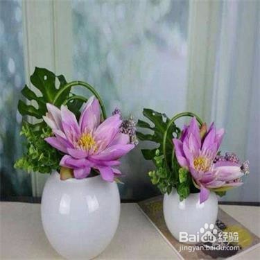 9个插花小技巧,让你的生活更加绚丽多彩