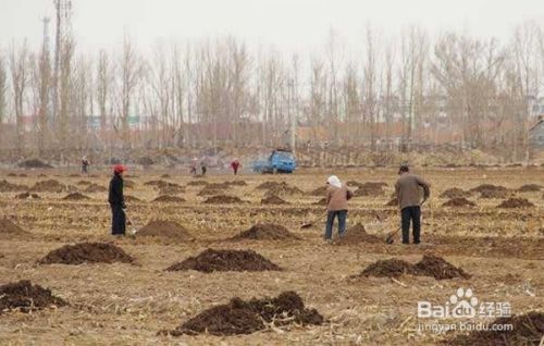 土地中黄黏土怎么改良 百度经验