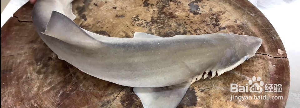 清蒸鲨鱼的做法