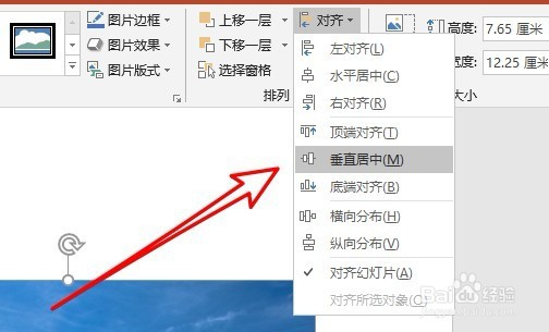 ppt2016怎么使插入的图片在幻灯片页面的正中