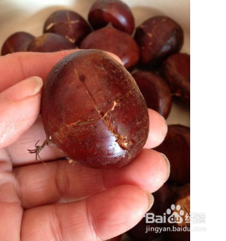 板栗怎么开十字口