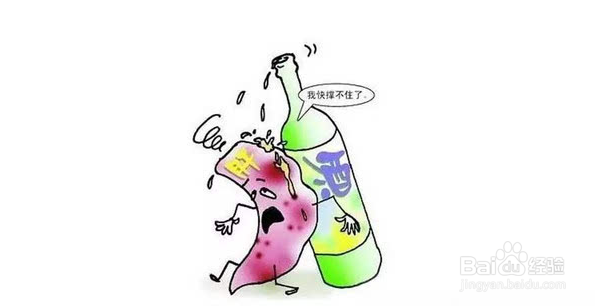 大肚子和脂肪肝有什么关系