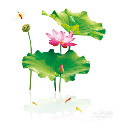 PS绘制水滴教程