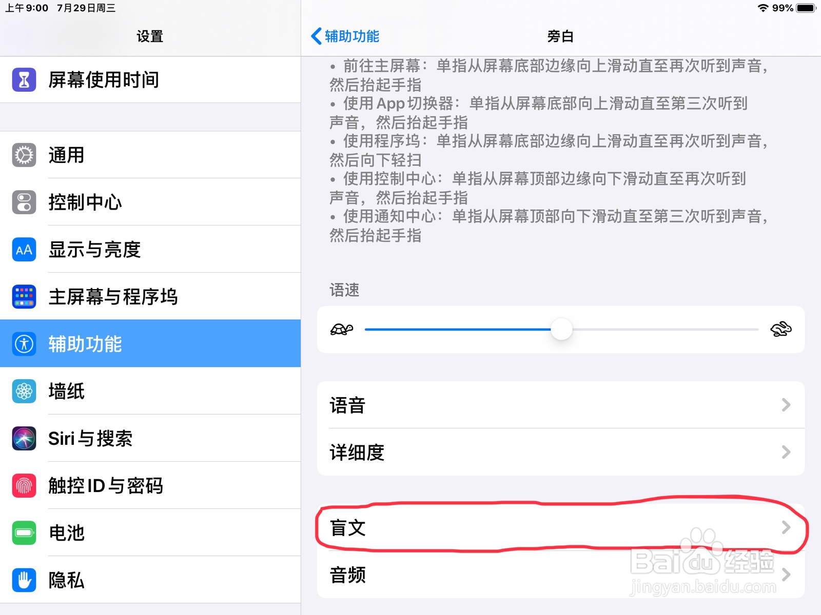 iPad怎么在旁白打开盲文屏幕输入的倒转圆点位置