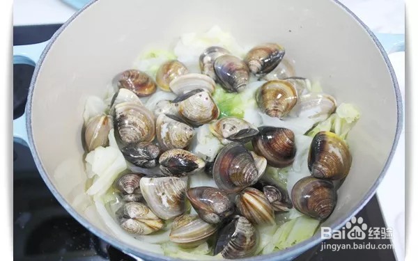 如何做出家常菜系列之蛤蜊蒸包心菜