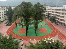 雅安知名的小学