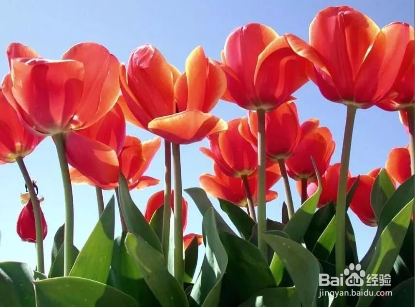 5个摄影小技巧，拍出碾压朋友圈的风光照！