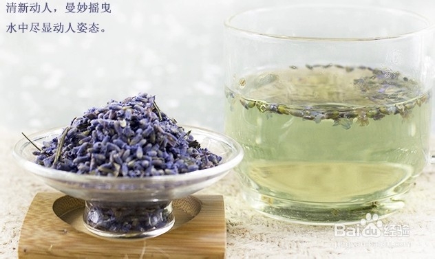 薰衣草花茶——紫色皇后