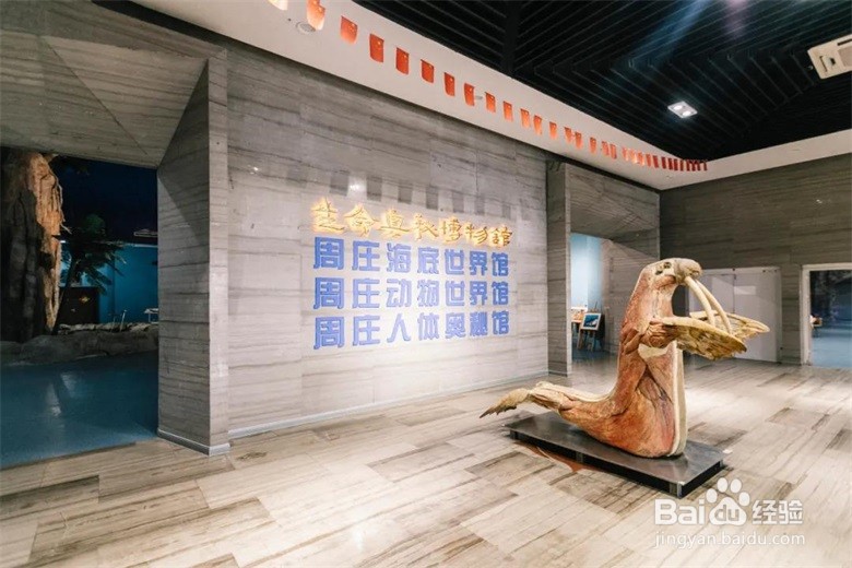 乐不思“暑”，水乡周庄研学亲子游攻略