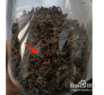自己晒梅干菜的做法