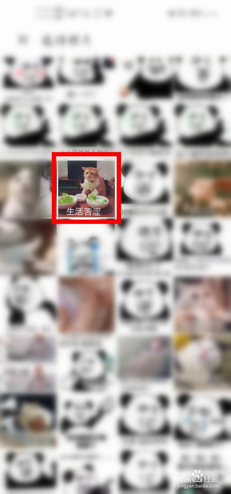 美团怎么给自己设置头像？