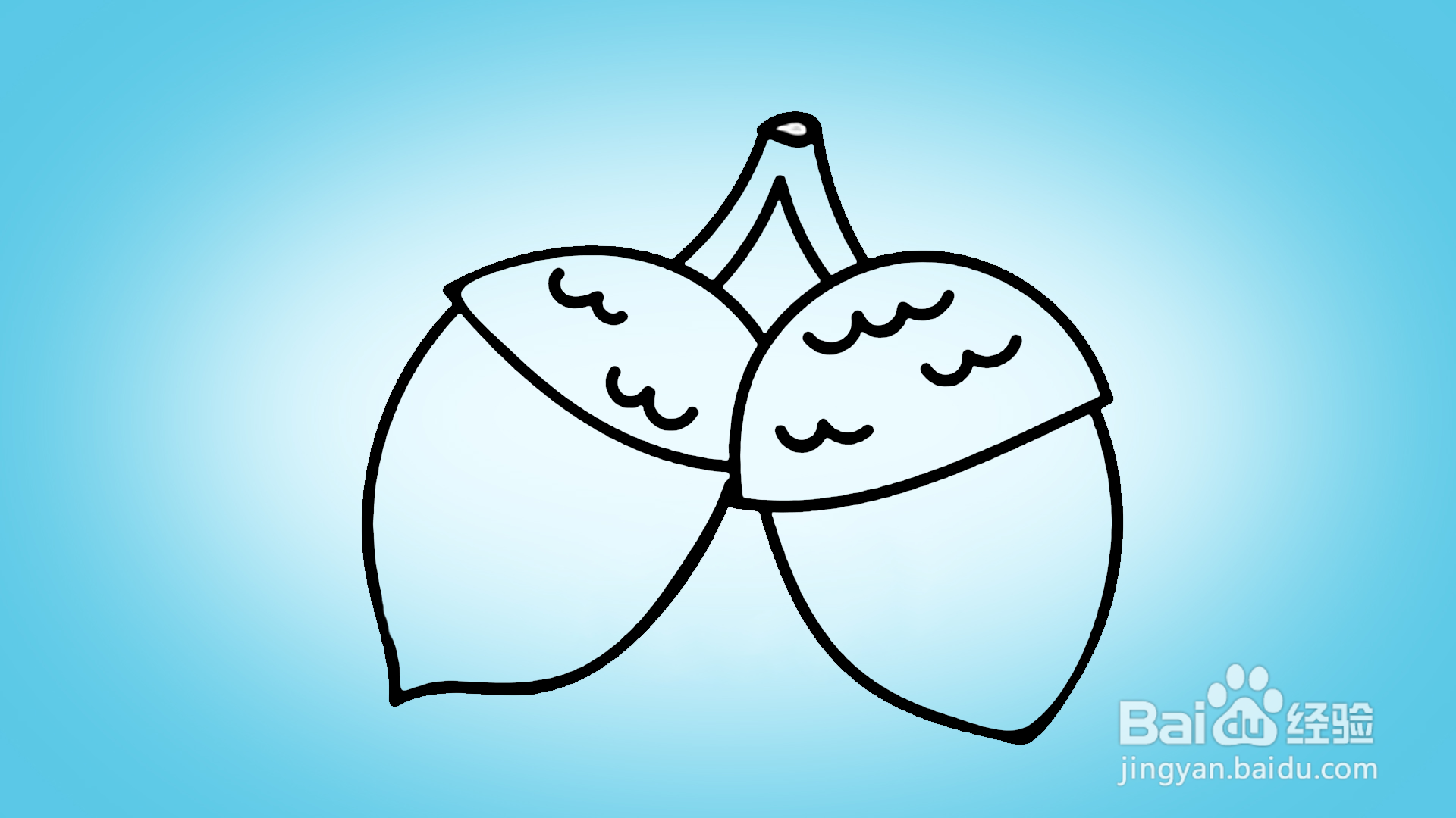 如何画卡通坚果