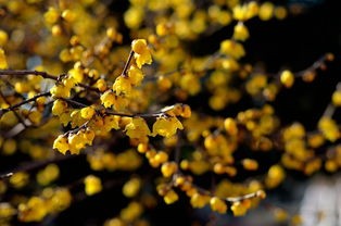 如何从容地接受人生中的变故