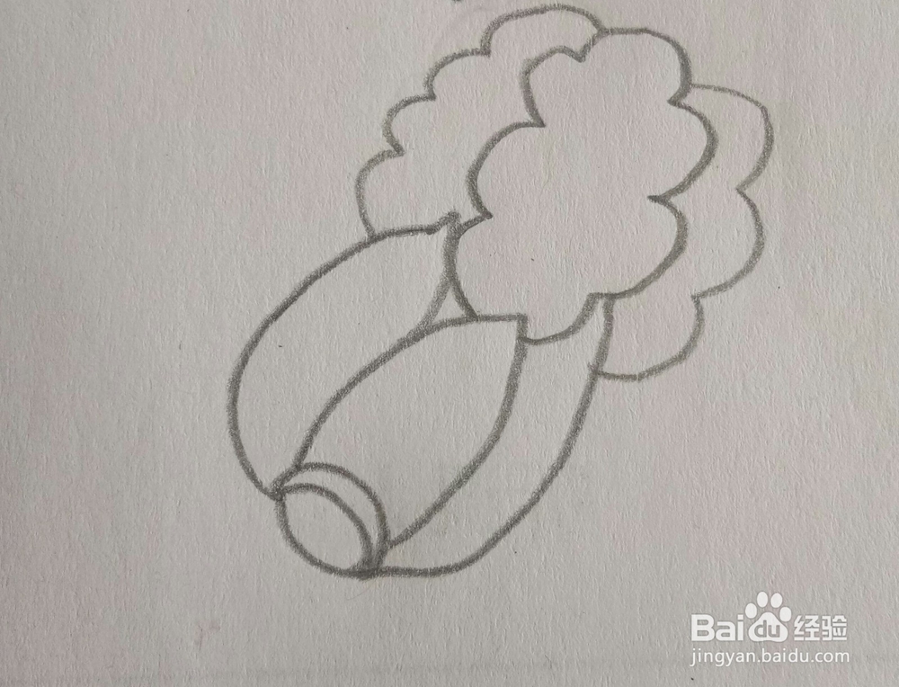 儿童简笔画白菜画法三