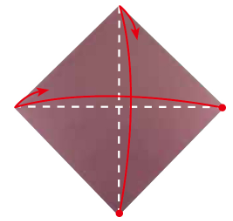 如何折一朵睡莲