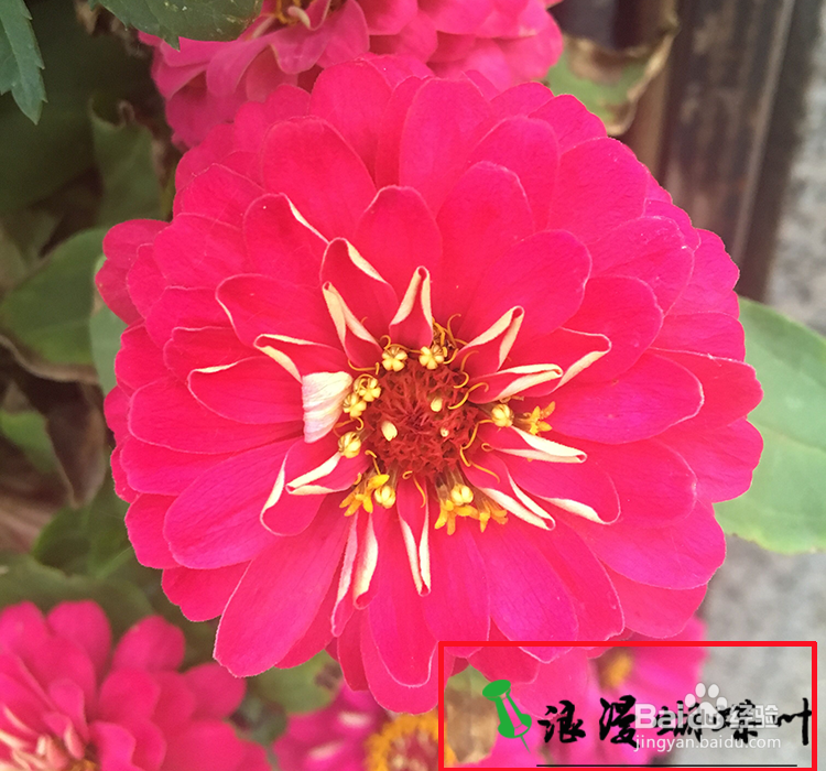 如何用photoshop给图片添加水印