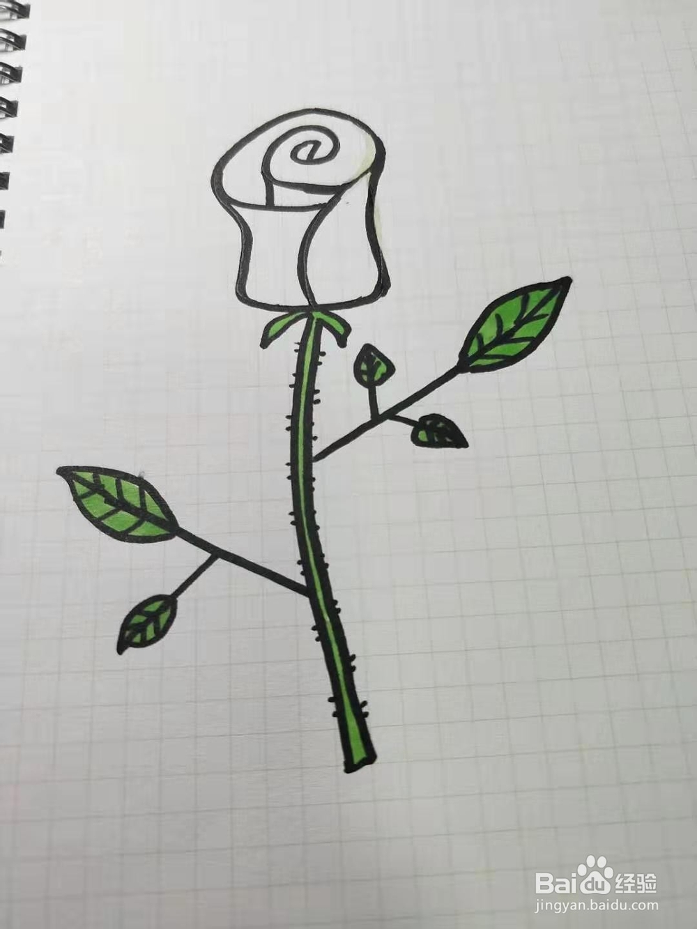 如何画玫瑰花简笔画？