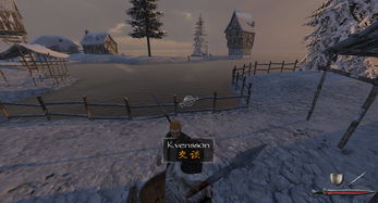 佩里斯诺任务攻略