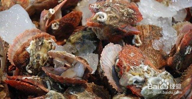 冬瓜扇贝汤的做法