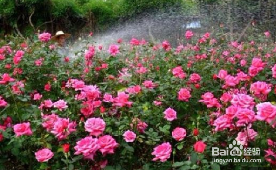 怀柔自驾一日游哪里好玩