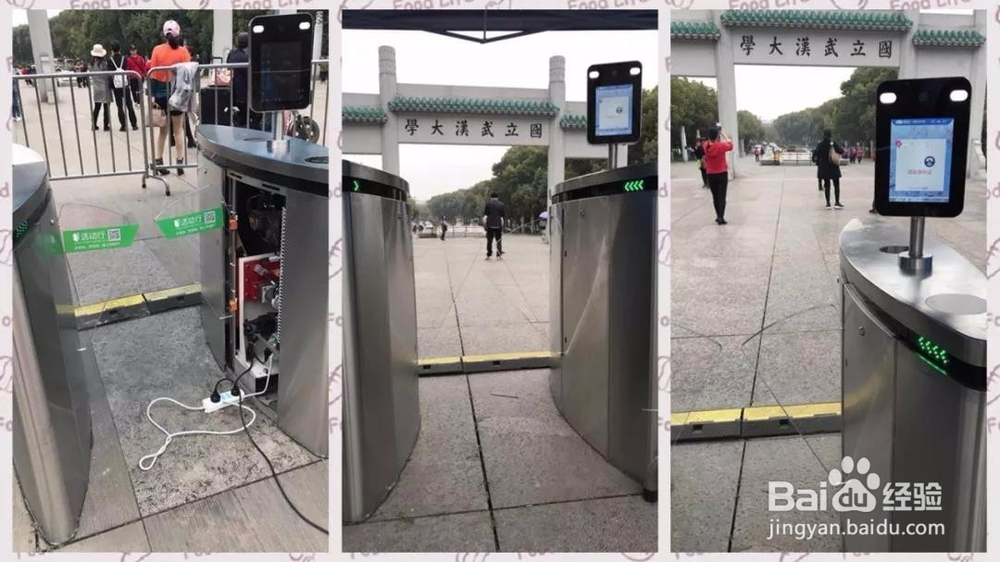 2019武大樱花预约攻略