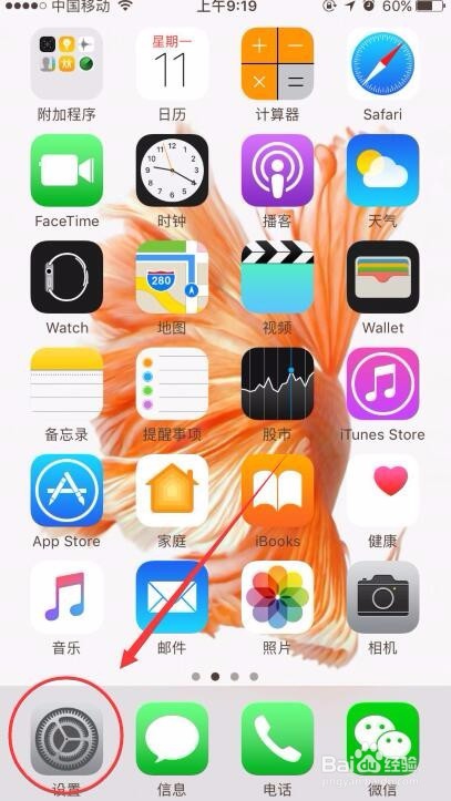 iphone6s手机怎么设置字体大小
