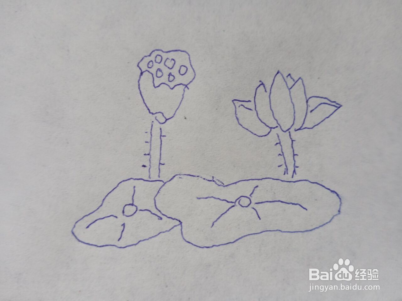 夏日风采简笔画