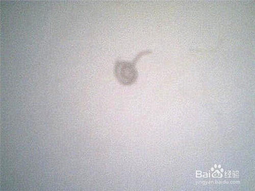 简笔画梅花怎样画：