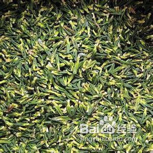 秋季哪些食物可以降血压？