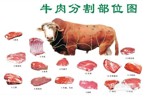 牛肉各部位名称图解 百度经验