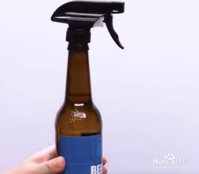 怎么挽救濒死的盆栽