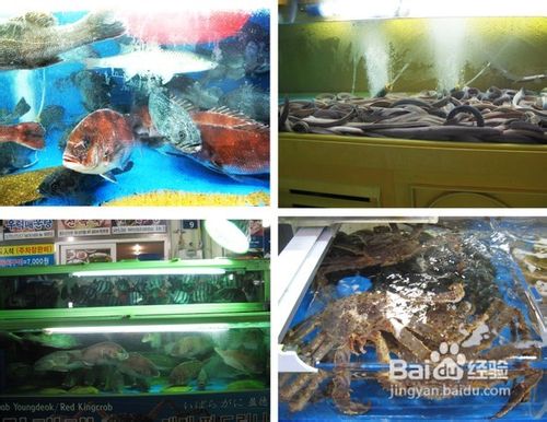 釜山海文台美食攻略