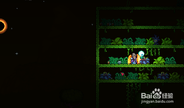 泰拉瑞亚生命果在哪里,生命果怎么找