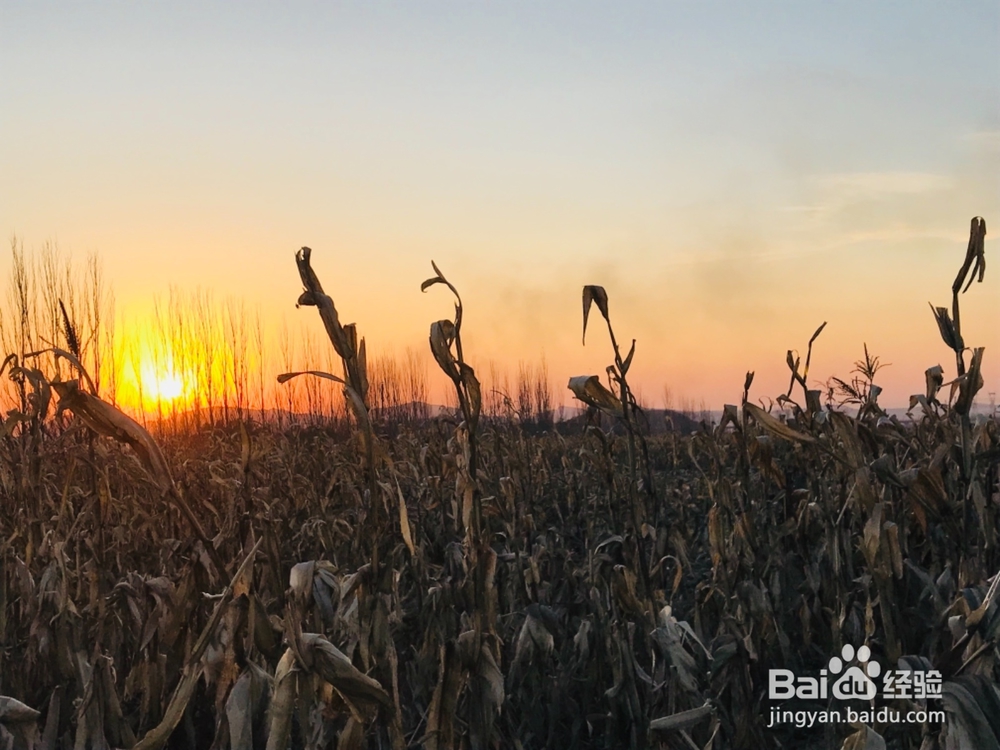 怎样拍摄初冬的田野