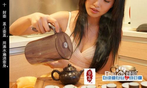 美女手把手教你如何把铁观音泡出好味道