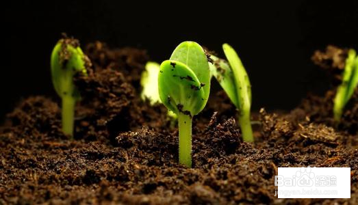 我们如何面对困难和挫折