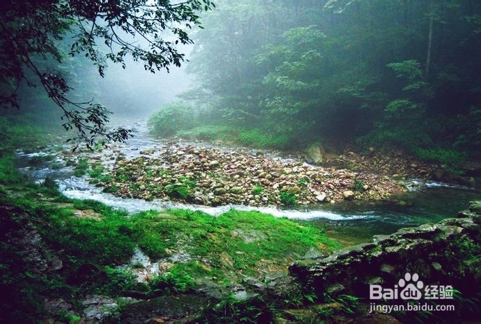 重庆到张家界自助游