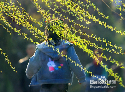 嗓子疼的自我疗法