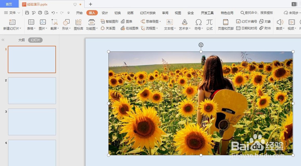 ppt中怎么裁剪图片