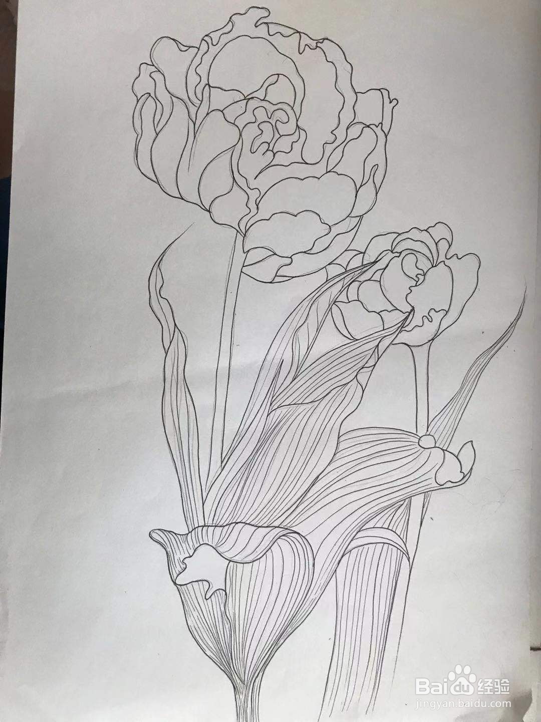 画叶子和抽象花朵的简单线描画