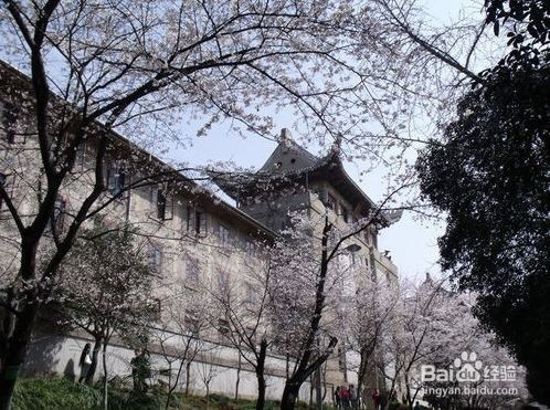 国内赏樱攻略大全