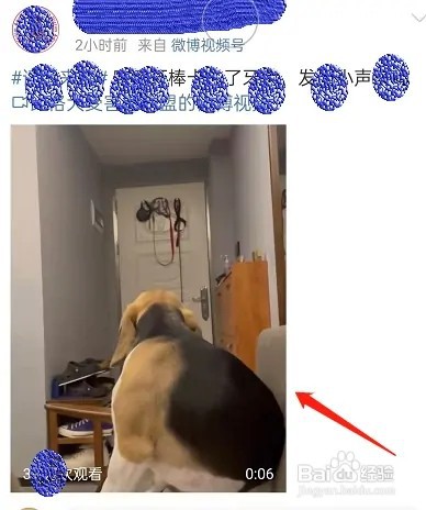 微博小视频在哪儿开启清屏功能