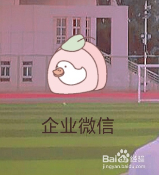 企业微信怎样查找外部联系人