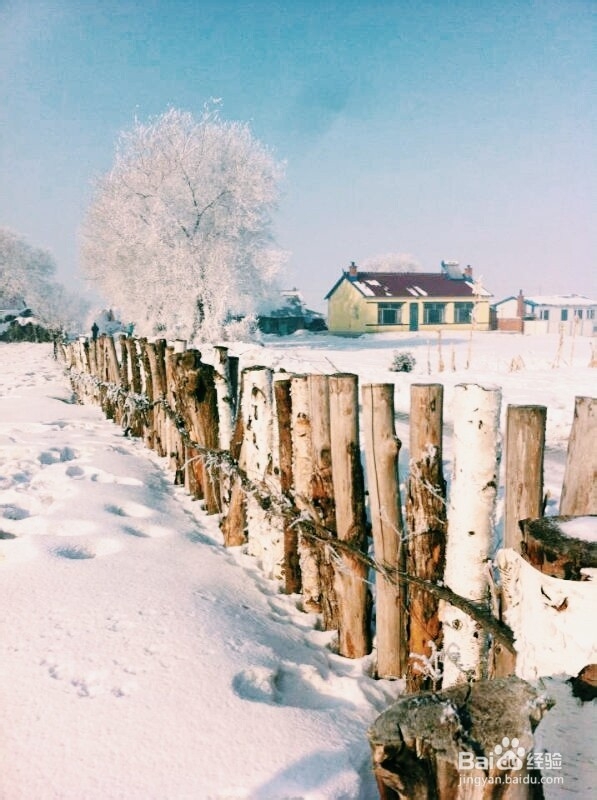 手机摄影技巧：[6]雾凇拍摄小贴士