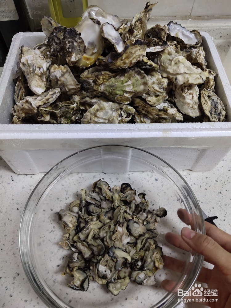 百吃不厌的牡蛎粉