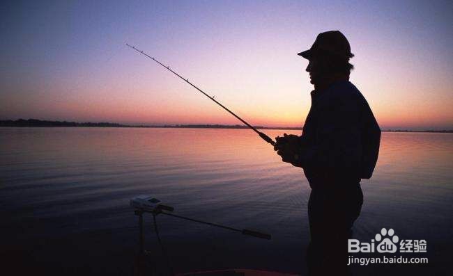 如何钓肉食性鱼类